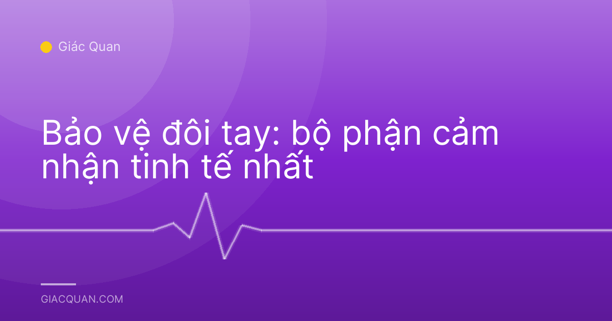 Bảo vệ đôi tay: bộ phận cảm nhận tinh tế nhất
