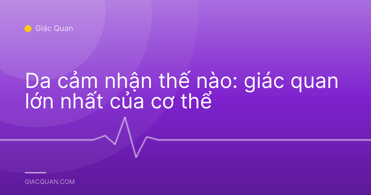 Da cảm nhận thế nào: giác quan lớn nhất của cơ thể