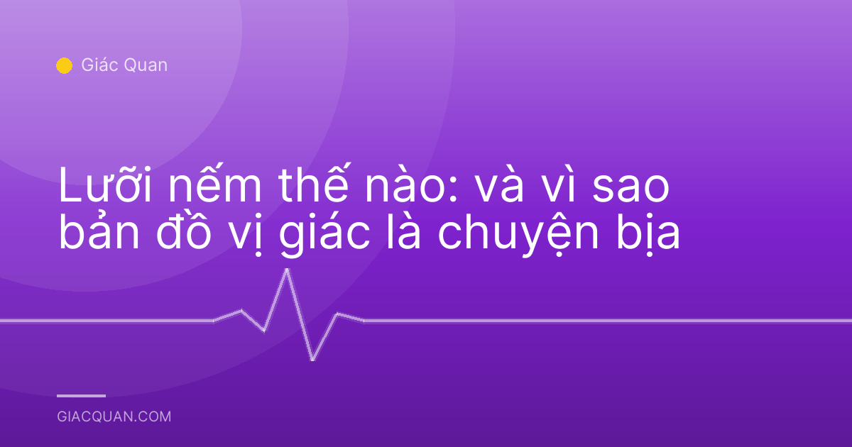 Lưỡi nếm thế nào: và vì sao bản đồ vị giác là chuyện bịa