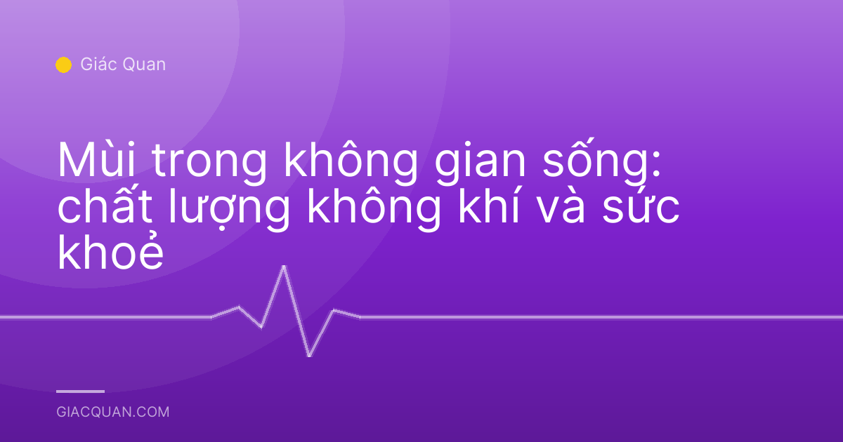 Mùi trong không gian sống: chất lượng không khí và sức khoẻ
