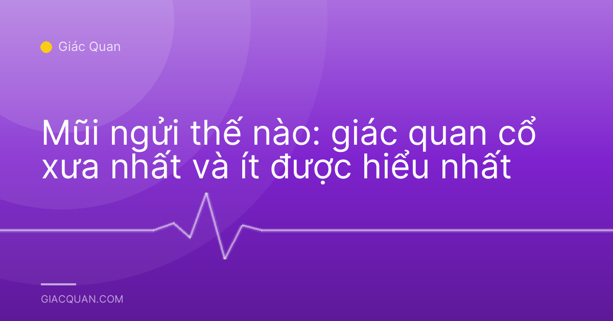 Mũi ngửi thế nào: giác quan cổ xưa nhất và ít được hiểu nhất