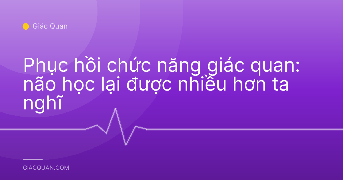 Phục hồi chức năng giác quan: não học lại được nhiều hơn ta nghĩ