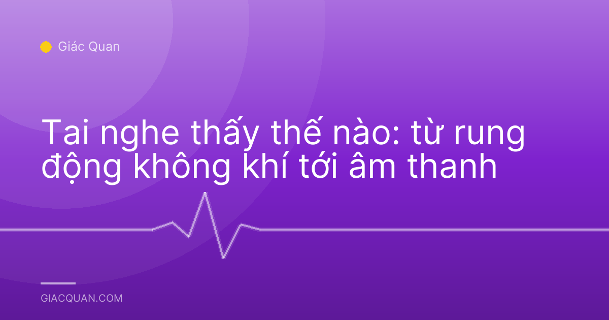 Tai nghe thấy thế nào: từ rung động không khí tới âm thanh